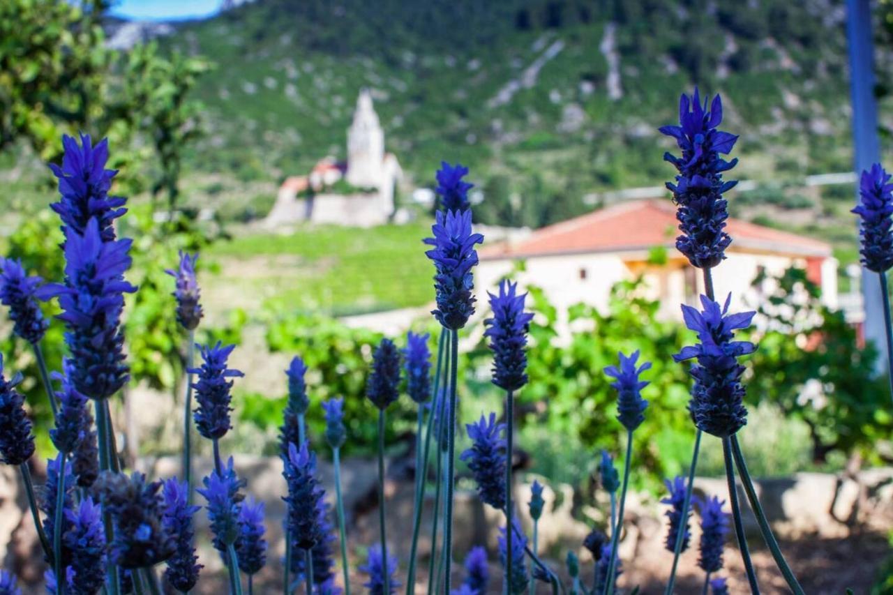 Garden Komiža